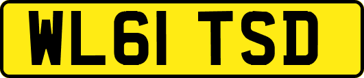 WL61TSD