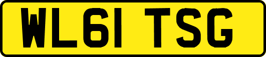 WL61TSG