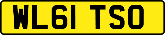 WL61TSO