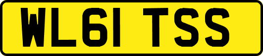 WL61TSS