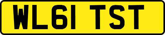 WL61TST