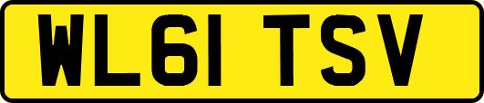 WL61TSV