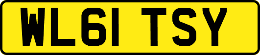 WL61TSY