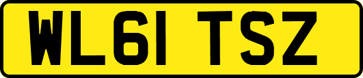 WL61TSZ