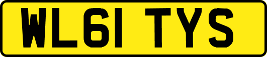 WL61TYS