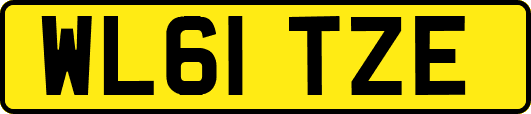 WL61TZE