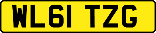 WL61TZG