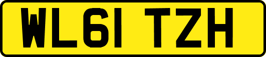 WL61TZH