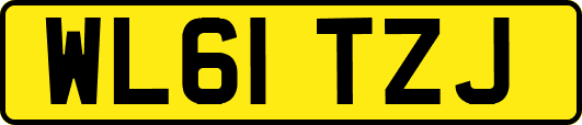 WL61TZJ