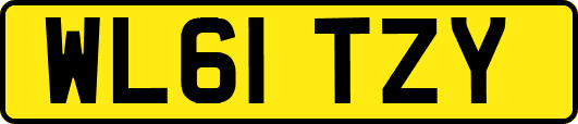 WL61TZY