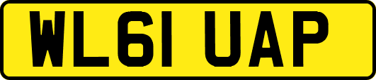 WL61UAP