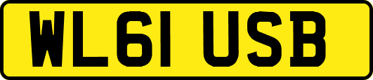 WL61USB