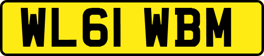 WL61WBM