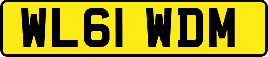 WL61WDM