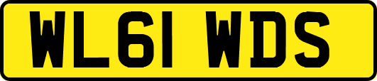 WL61WDS