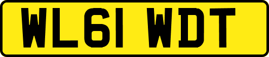 WL61WDT