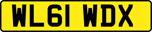 WL61WDX