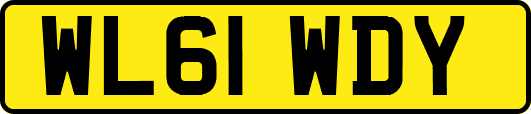WL61WDY