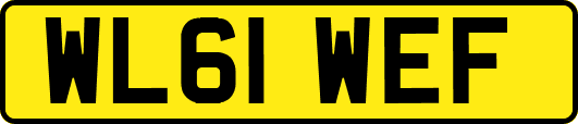 WL61WEF