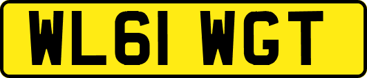 WL61WGT