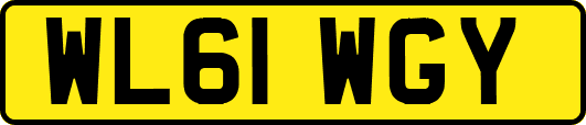 WL61WGY