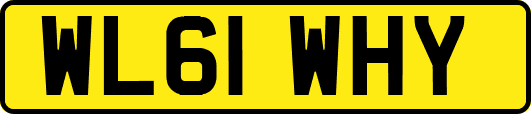 WL61WHY