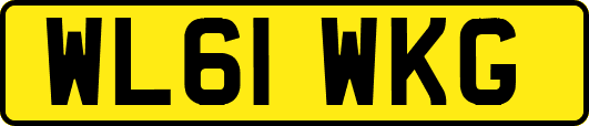 WL61WKG
