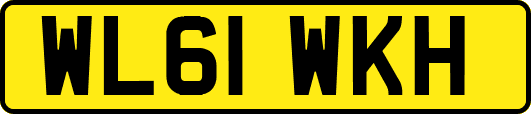 WL61WKH