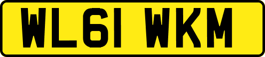 WL61WKM