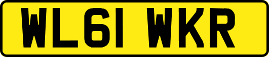 WL61WKR