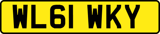 WL61WKY
