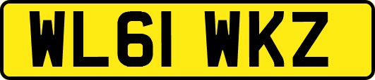WL61WKZ