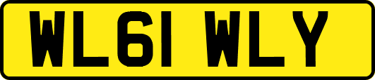 WL61WLY