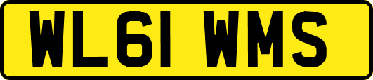 WL61WMS