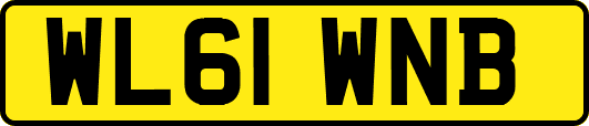WL61WNB