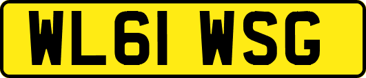 WL61WSG