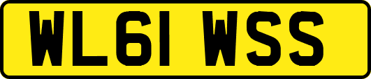 WL61WSS