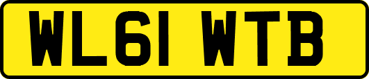 WL61WTB