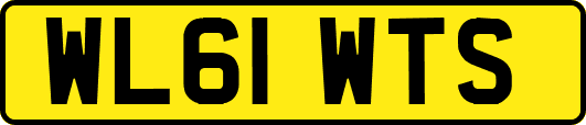 WL61WTS