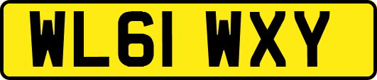 WL61WXY