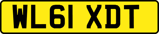 WL61XDT