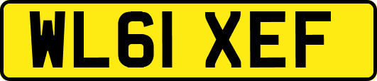 WL61XEF