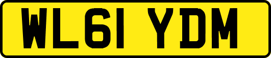 WL61YDM