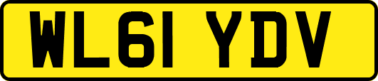 WL61YDV