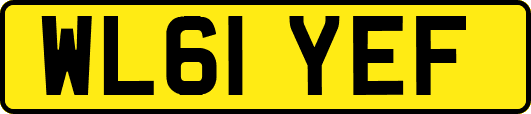 WL61YEF