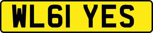 WL61YES