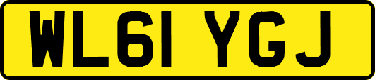 WL61YGJ