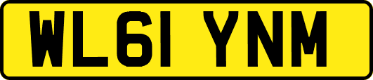 WL61YNM