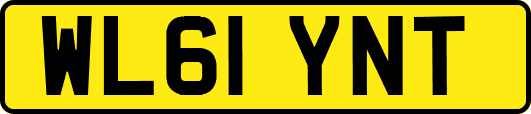 WL61YNT
