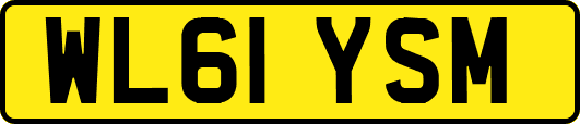 WL61YSM